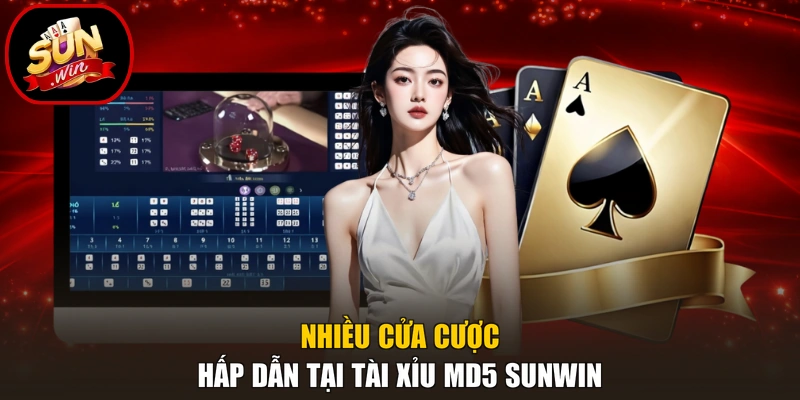 Nhiều cửa cược hấp dẫn tại tài xỉu MD5 Sunwin
